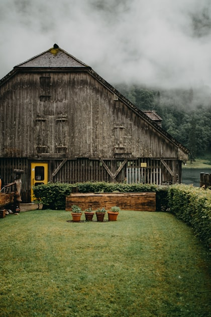 Medicinal Herbs: Nature’s Pharmacy